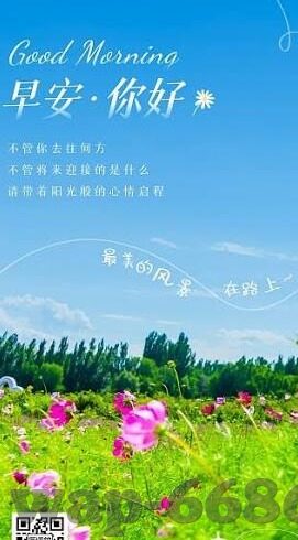 世界杯德国出局了吗6-德国队止步小组赛，世界杯之旅意外终结